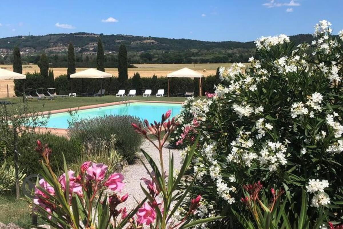 Cozy Home In Countryside Asciano Siena -Renovated! Екстер'єр фото